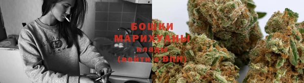 apvp Вязьма