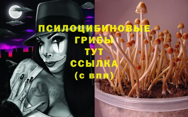 каннабис Вязники