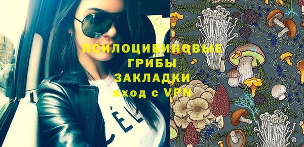 гидропоника Вяземский