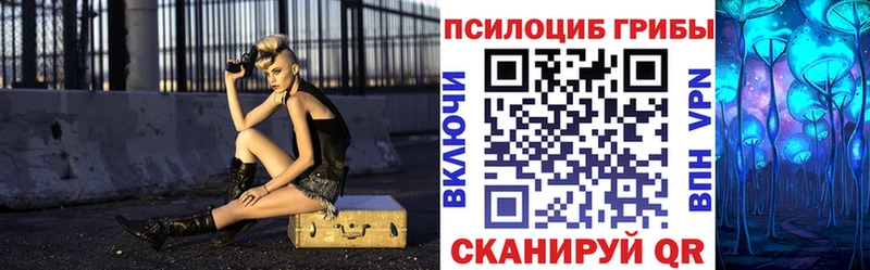 где найти наркотики Иланский Галлюциногенные грибы мухоморы